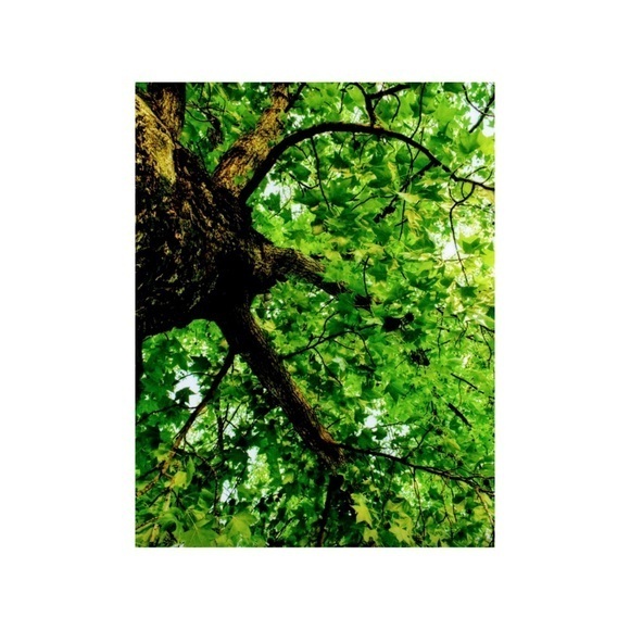 Other - Professional Photography Print